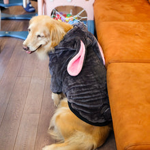 Carregar imagem no visualizador da galeria, Moletom Fofo Adventure