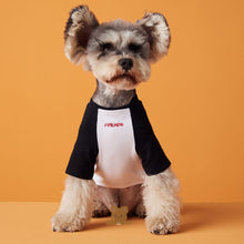 Carregar imagem no visualizador da galeria, Blusa Pet Friend