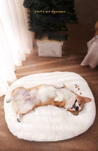 Carregar imagem no visualizador da galeria, Cama Pet Noah | Para Cachorro e Gato