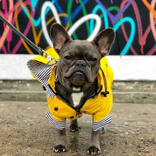 Carregar imagem no visualizador da galeria, Capa de Chuva com Listras