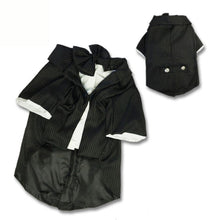 Carregar imagem no visualizador da galeria, Terno Pet Wedding