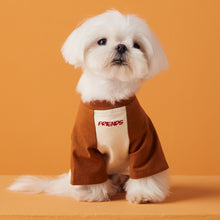 Carregar imagem no visualizador da galeria, Blusa Pet Friend
