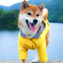 Carregar imagem no visualizador da galeria, Capa de Chuva Pet | Para Cachorro