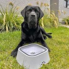 Carregar imagem no visualizador da galeria, WaterBowl - Bebedouro Pet