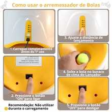 Carregar imagem no visualizador da galeria, Arremessador Automático De Bolinha para Pet
