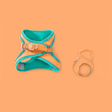 Carregar imagem no visualizador da galeria, Coleira anti-fuga para gatos - Safe Cat
