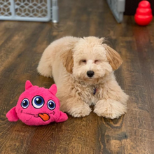 Carregar imagem no visualizador da galeria, Amiguinho Monster
