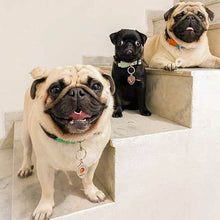 Carregar imagem no visualizador da galeria, Finder Pet - Saiba em tempo Real onde seu Pet está
