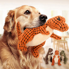 Carregar imagem no visualizador da galeria, Pelúcia T-Rex - Lançamento 2023
