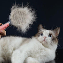 Carregar imagem no visualizador da galeria, Escova removedora de pelos para Cães e Gatos - Petz Hair
