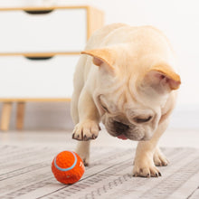 Carregar imagem no visualizador da galeria, Brinquedo Bola Super Resistente para Pets com Costura Super Reforçada
