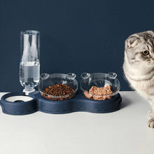 Carregar imagem no visualizador da galeria, Bebedouro e Comedouro ergonômico para Cães e Gatos
