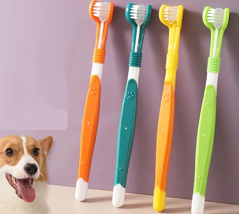 Escova de Dente para Pet Cabeça Tripla WePetz - Compre 1 Leve 4