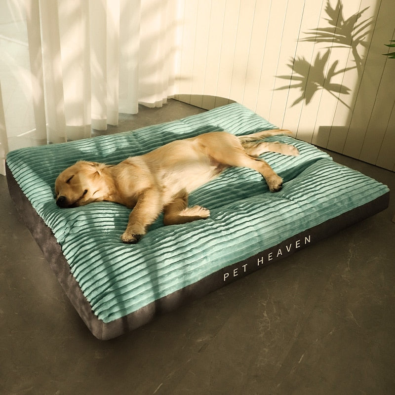 Cama Pet Dream para cachorro e gato