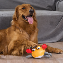 Carregar imagem no visualizador da galeria, Sirigueijo Feliz e Jacaré Amigo WePetz
