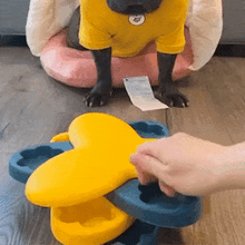 Carregar imagem no visualizador da galeria, Jogo de Quebra-Cabeça Multinível para  Cães
