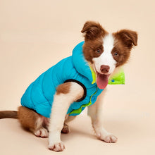 Carregar imagem no visualizador da galeria, Colete Reversível Colorful | Para Cachorro e Gato
