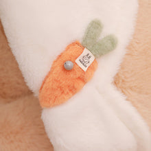 Carregar imagem no visualizador da galeria, Cama Pet Candy | Para Cachorro e Gato
