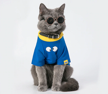 Carregar imagem no visualizador da galeria, Óculos de Sol | Para Cachorro e Gato
