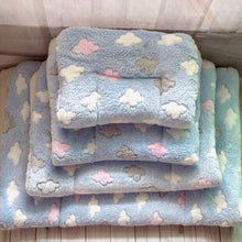 Carregar imagem no visualizador da galeria, Tapetinho Premium | Para Cachorro e Gato
