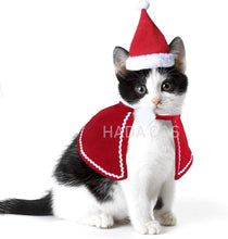 Carregar imagem no visualizador da galeria, Conjuntinho de Natal Pet | Para Cachorro e Gato
