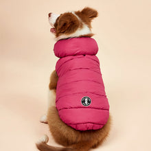 Carregar imagem no visualizador da galeria, Colete Reversível Colorful | Para Cachorro e Gato
