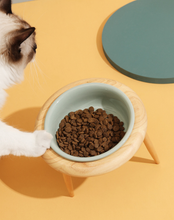 Carregar imagem no visualizador da galeria, Tigela Cerâmica Bentivi
