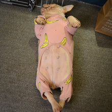 Carregar imagem no visualizador da galeria, Macacão Bananinha | Para Cachorro
