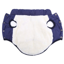 Carregar imagem no visualizador da galeria, Colete Pet Winter para Cachorro e Gato - Aquecimento e Conforto no Inverno
