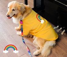 Carregar imagem no visualizador da galeria, Blusão Grande Pepper
