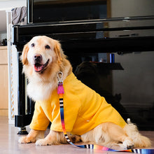 Carregar imagem no visualizador da galeria, Blusão Grande Pepper
