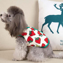 Carregar imagem no visualizador da galeria, Colete Moranguinho
