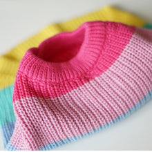 Carregar imagem no visualizador da galeria, Tricot Pet Color
