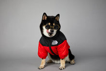 Carregar imagem no visualizador da galeria, Jaqueta The Dog Fans | Para Cachorro
