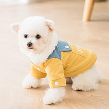 Carregar imagem no visualizador da galeria, Casaquinho Pet Smile | Para Cachorro e Gato
