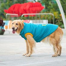 Carregar imagem no visualizador da galeria, Colete Pet Tadeu
