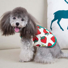 Carregar imagem no visualizador da galeria, Colete Moranguinho
