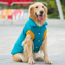 Carregar imagem no visualizador da galeria, Colete Pet Tadeu
