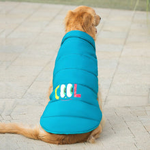 Carregar imagem no visualizador da galeria, Colete Pet Tadeu
