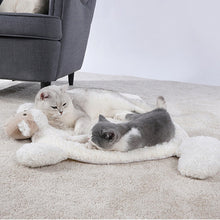 Carregar imagem no visualizador da galeria, Ovelinha Companheira | Para Cachorro e Gato
