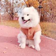 Carregar imagem no visualizador da galeria, Roupinha Guaxinim
