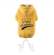 Carregar imagem no visualizador da galeria, Moletom Pet Holide
