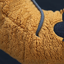 Carregar imagem no visualizador da galeria, Roupa Pet Tigre e Panda
