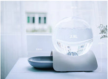 Carregar imagem no visualizador da galeria, Bebedouro Pet Bolha 2.8L
