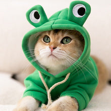 Carregar imagem no visualizador da galeria, Moletom Amazing Frog
