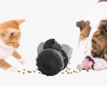 Carregar imagem no visualizador da galeria, brinquedo interativo para cães, brinquedo interativo para gatos, brinquedo para controle de estresse para cães e gatos, alimentador de cães, alimentador de gatos, wepetz, lojawepetz
