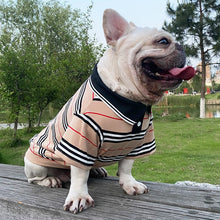 Carregar imagem no visualizador da galeria, Camiseta Polo Petli
