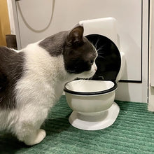 Carregar imagem no visualizador da galeria, Tigela Pet Troninho

