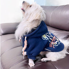 Carregar imagem no visualizador da galeria, Jaqueta Pet Better
