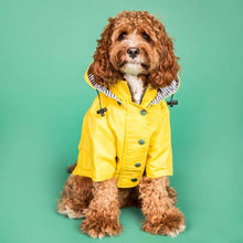 Carregar imagem no visualizador da galeria, Capa de Chuva com Listras
